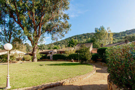 domaine corse