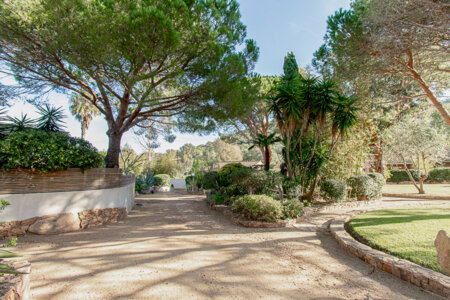 domaine corse