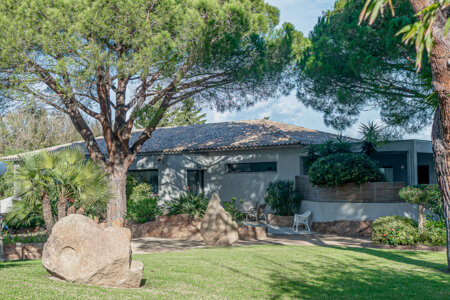 domaine corse