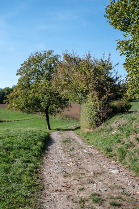 Annecy countryside