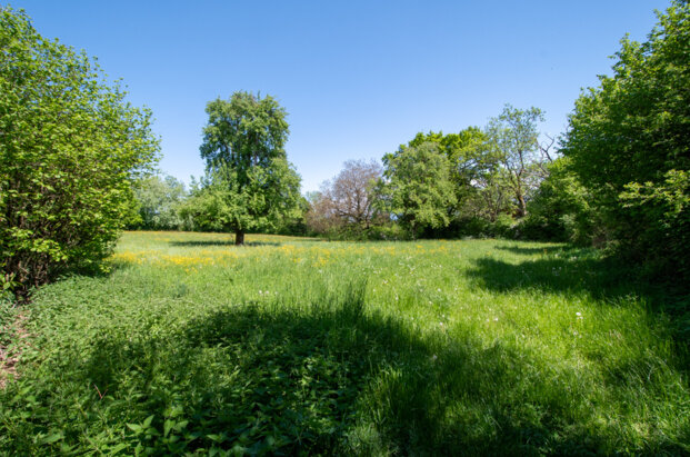 Sublime terrain d'environ 4’200 m2 avec 714 m2 constructibles