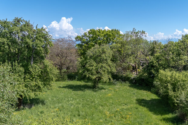 Terrain constructible de 902 m2 dans un cadre unique à Échenevex