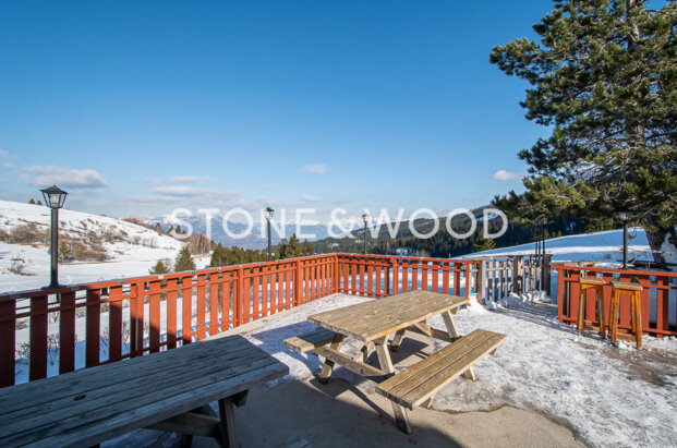 Chalet in a preserved setting with mountain views 1 hour from Geneva