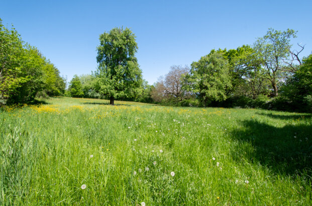 Sublime terrain d'environ 4’200 m2 avec 714 m2 constructibles