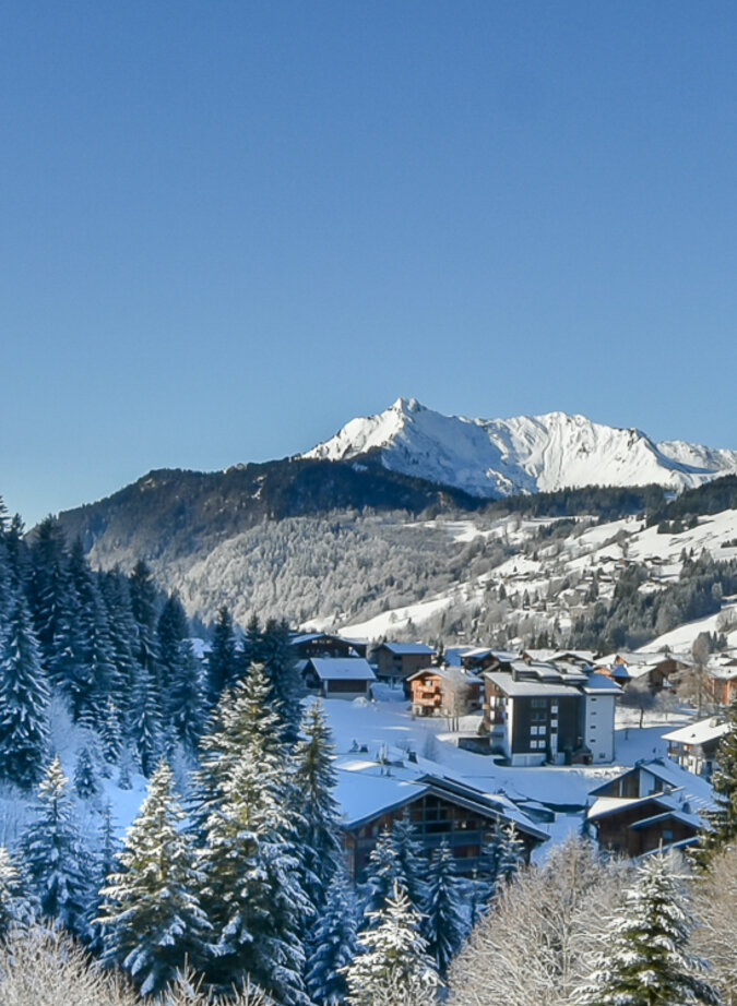 Family chalet with mountain views in Les Gets