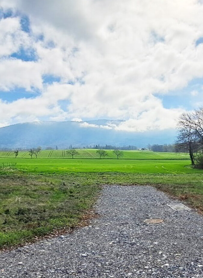 Building land in a green setting on the outskirts of Geneva