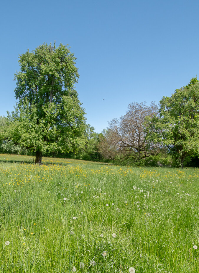 Building plot of 552 sqm in Echenevex
