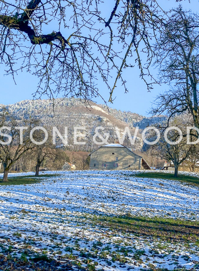 Spacious farmhouse to renovate near Geneva